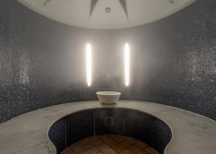 酒店 阿德里亚酒店 4*