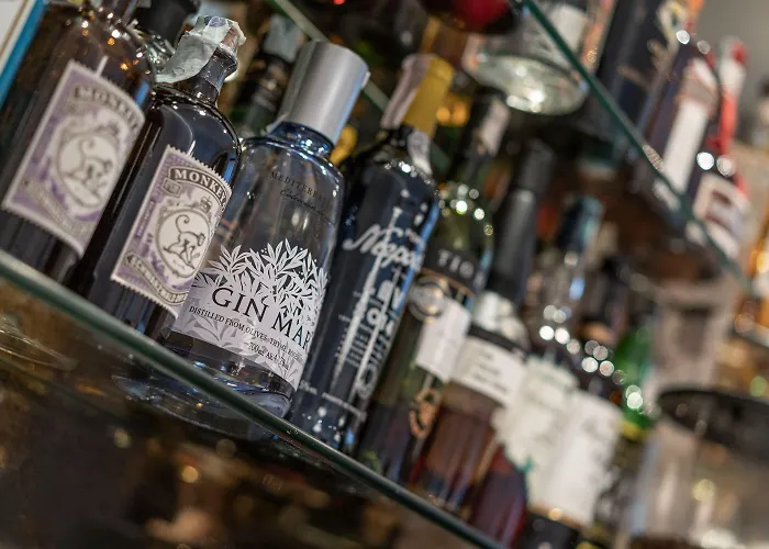 阿德里亚酒店 酒店 梅拉诺