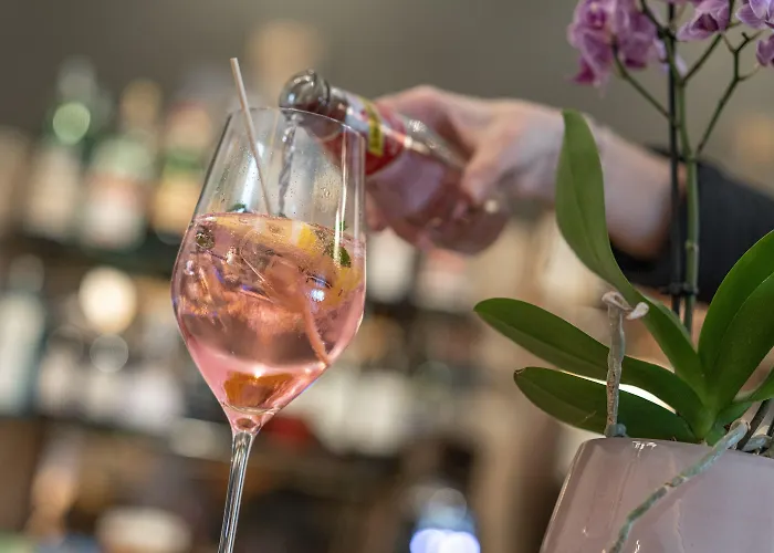 阿德里亚酒店 酒店 梅拉诺